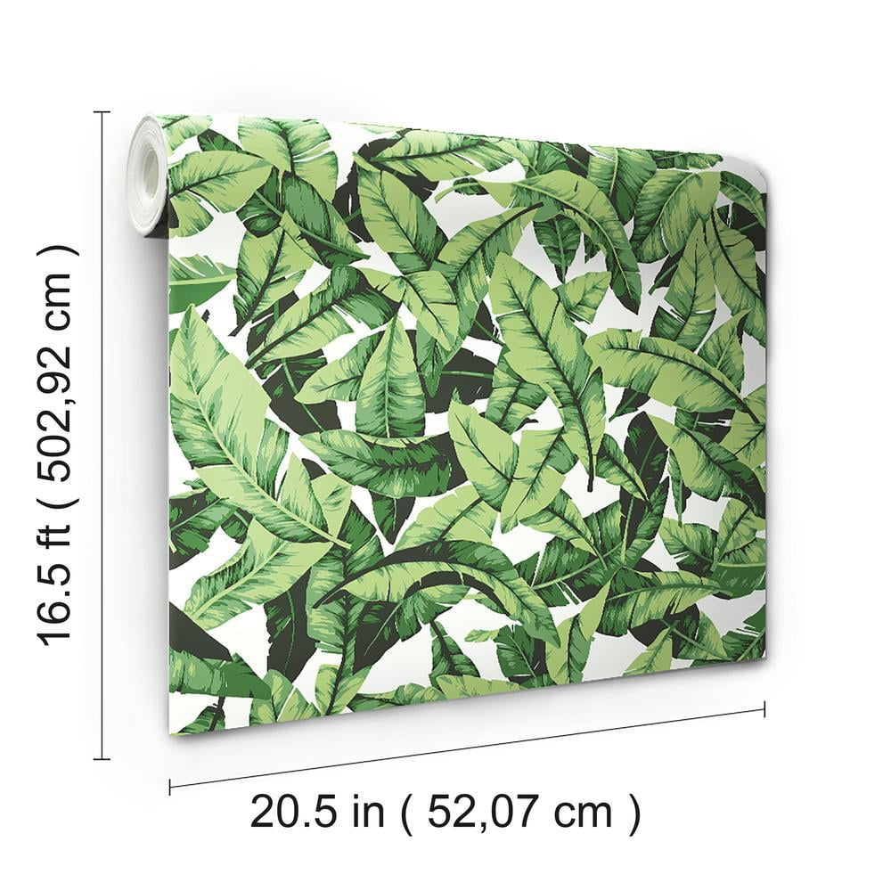 Green Pop Art Plants Peel and Stick Wallpaper Tropical Leaf Pattern   ONDECORCOM